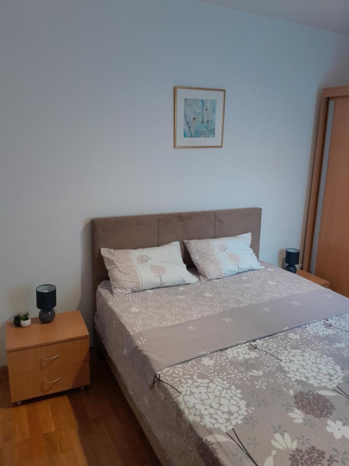 Apartman Klara Petrovac Exteriör bild